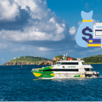 BVI economic substance - HKHD Tax Law