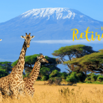 retirement in Kenya - HKHD Tax Law